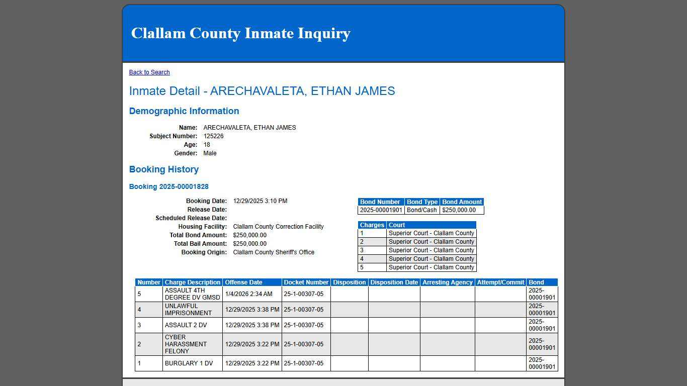 Inmate Detail - ARECHAVALETA, ETHAN JAMES